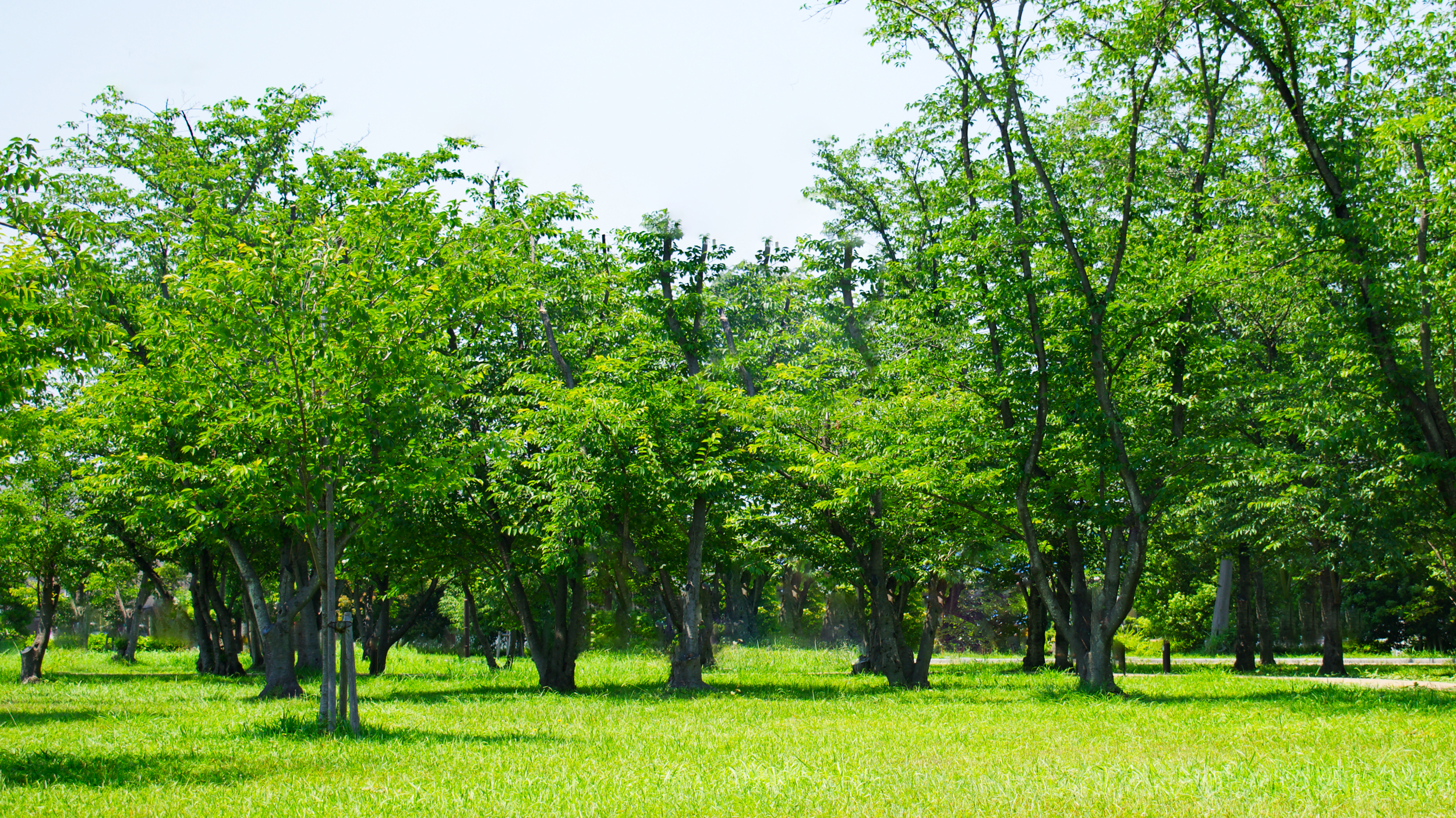 福井県のエクステリア・図面作成代行